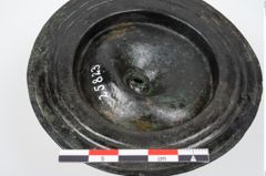 Foto von Bronzephalere (NHMW-PRAE-025823)